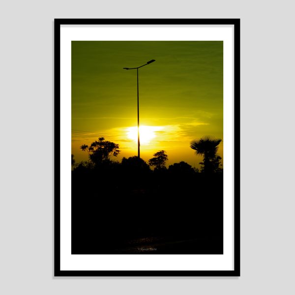 VERDANT SUNSET