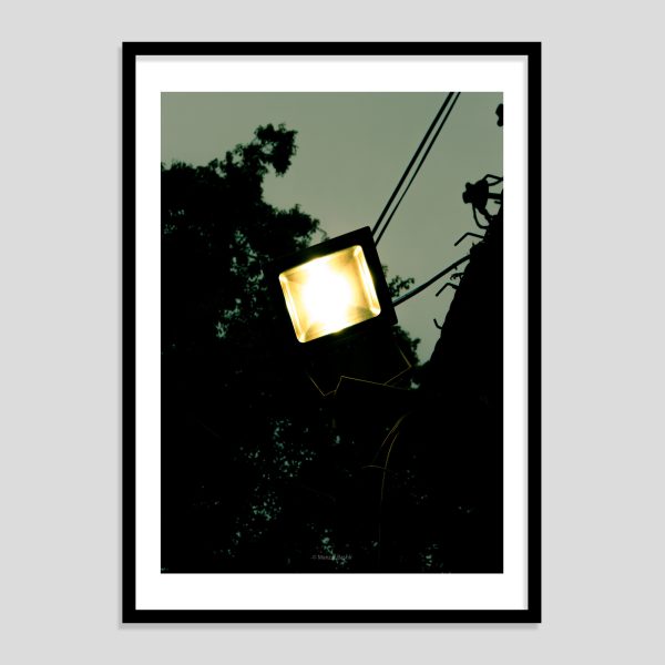 STREET CANDLE