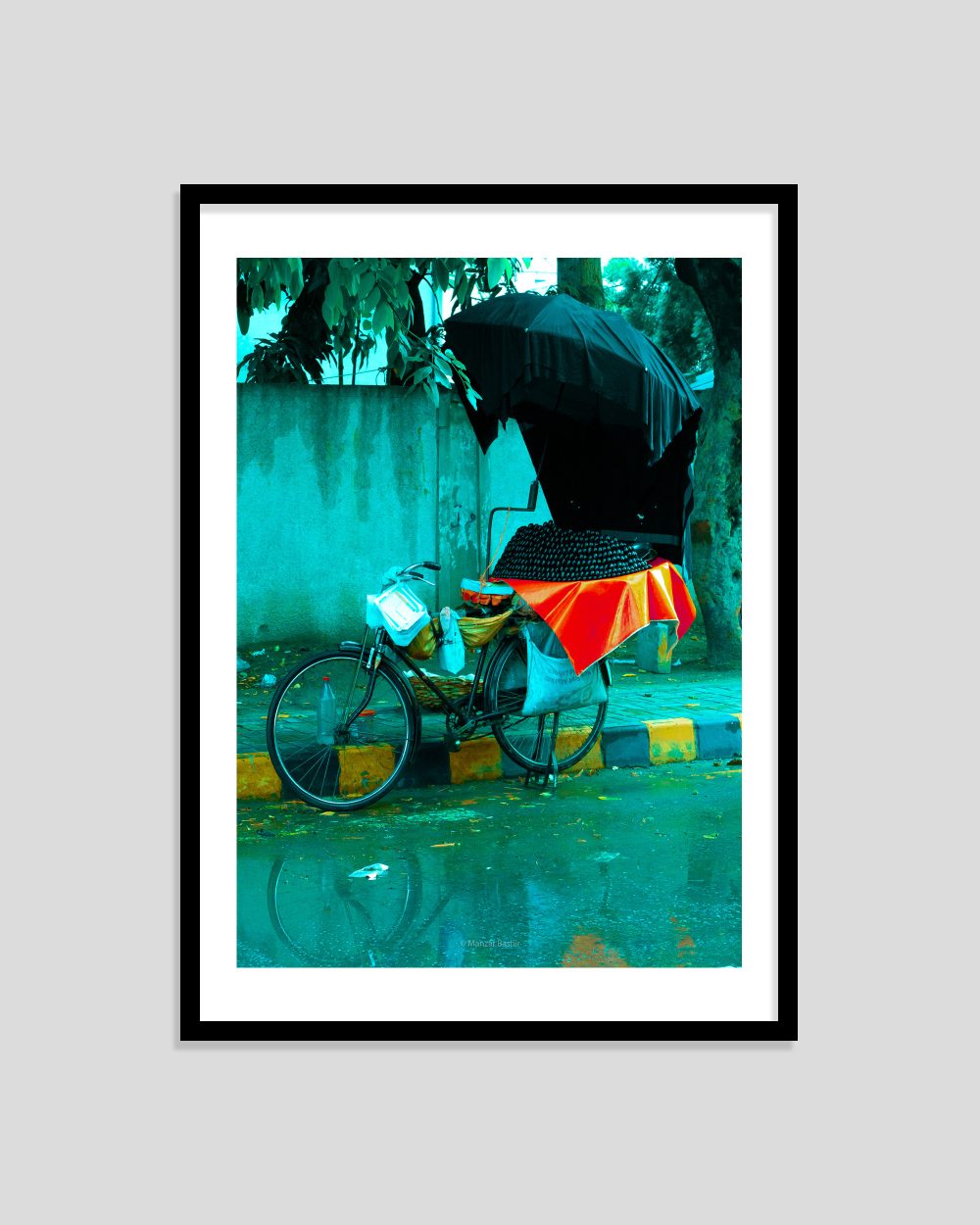 Rain & Java Plums