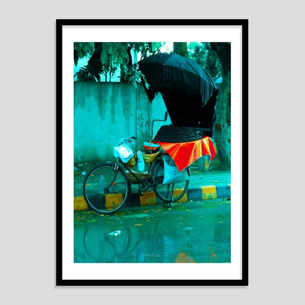 Rain & Java Plums