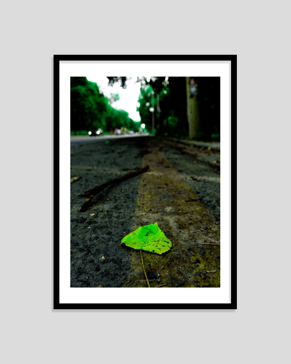 Solitary Green