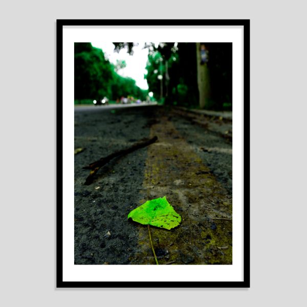 Solitary Green